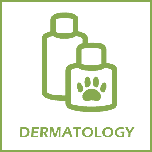 Dermatology