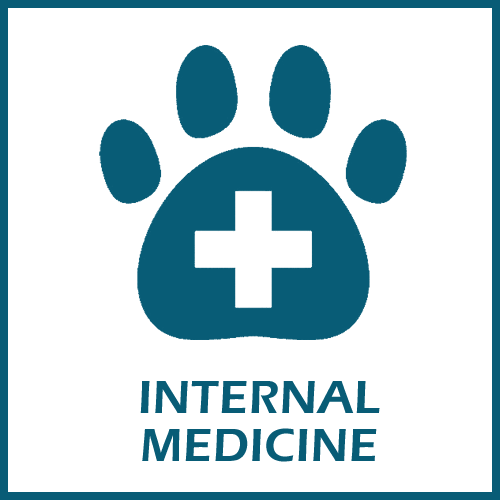 Internal Medicine